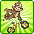Crazy Rider