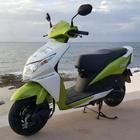 Moped Rentals Cozumel icon