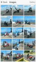 Moped Rentals Cozumel screenshot 1