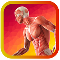 atlas gray's anatomy