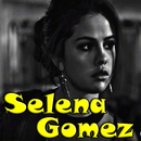 Selena Gomez - All songs APK