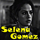 Selena Gomez - All songs icône