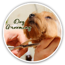 Dog Grooming Tips APK