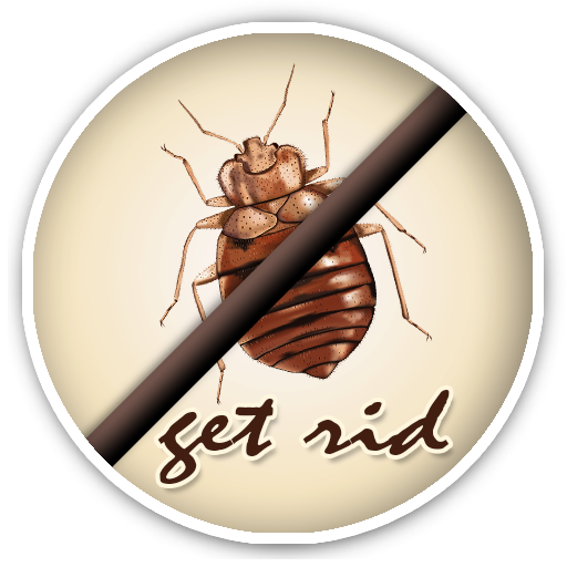 How To Get Rid Of Bed Bugs
