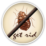 How To Get Rid Of Bed Bugs