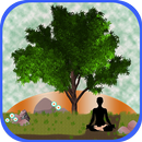 Daily Yoga Poses And Plan APK