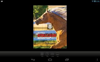Barrel Horse Stallion Register Plakat