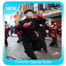 Powerful Qigong Styles-APK