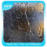 Rainy New York Live Wallpaper icône
