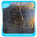 Rainy New York Live Wallpaper-APK