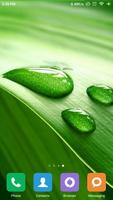 1 Schermata Nature Wallpapers
