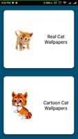Cat Wallpapers HD 4K Affiche