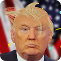 Trump's Hair
