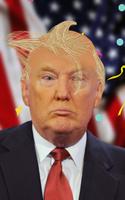 Trump's Hair Affiche