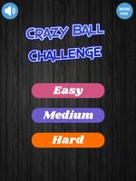 Crazy Ball Fun Challenge Game Affiche