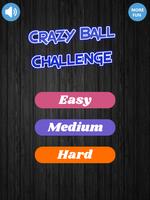 Crazy Ball Challenge الملصق