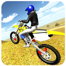 APK Motorcycle Simulator Facts