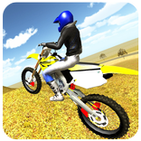 Motorcycle Simulator Facts