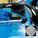 Руководство по GPS к SeaWorld APK