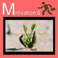 Motivation & Job Search