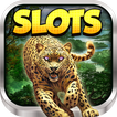 Wild Luck Slot Machine