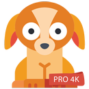 Puppy Wallpapers 4K PRO Puppy Backgrounds APK
