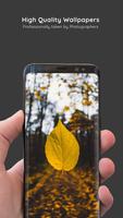 Autumn Wallpapers پوسٹر