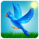 Shoot The Bird-APK