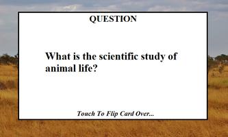Zoologist/Zoology Study Quiz Affiche