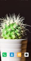 Cactus Wallpaper screenshot 2