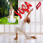 Yoga Ideas icon