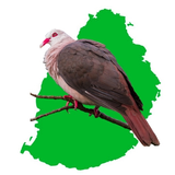 Birds of Mauritius icon