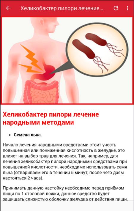 Какое лечение при хеликобактере. Хилактобактерии пилори симптомы. Лекарство от бактерии хеликобактер. Таблетки от хеликобактер пилори в желудке. Лекарство против бактерии хеликобактер пилори.