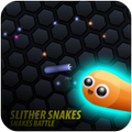 snakes & worms battle