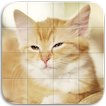 Chatons Puzzle