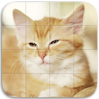 Cats Tile Puzzle आइकन