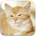 Cats Tile Puzzle icono