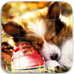 ”Cute Dogs Puzzle