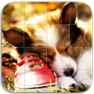 Mignon Chiens Puzzle