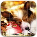 Süße Hunde Puzzle APK