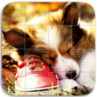 Mignon Chiens Puzzle icône