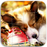 Cute Dogs Puzzle ikon