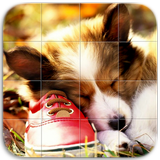 Cute Dogs Puzzle 图标
