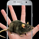 Mouse In Hand Prank APK