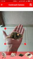 Mouse In Hand Prank Affiche