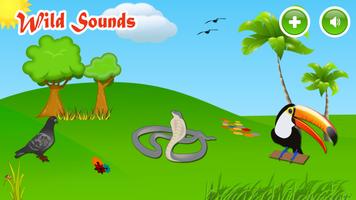 Wild Animals Sounds screenshot 3