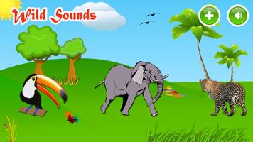 Wild Animals Sounds poster