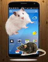 Mouse On Screen Scary Prank-poster