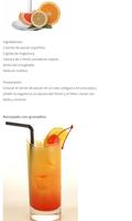 Recetas de tragos capture d'écran 1