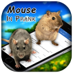 3D Mouse In Phone Prank
